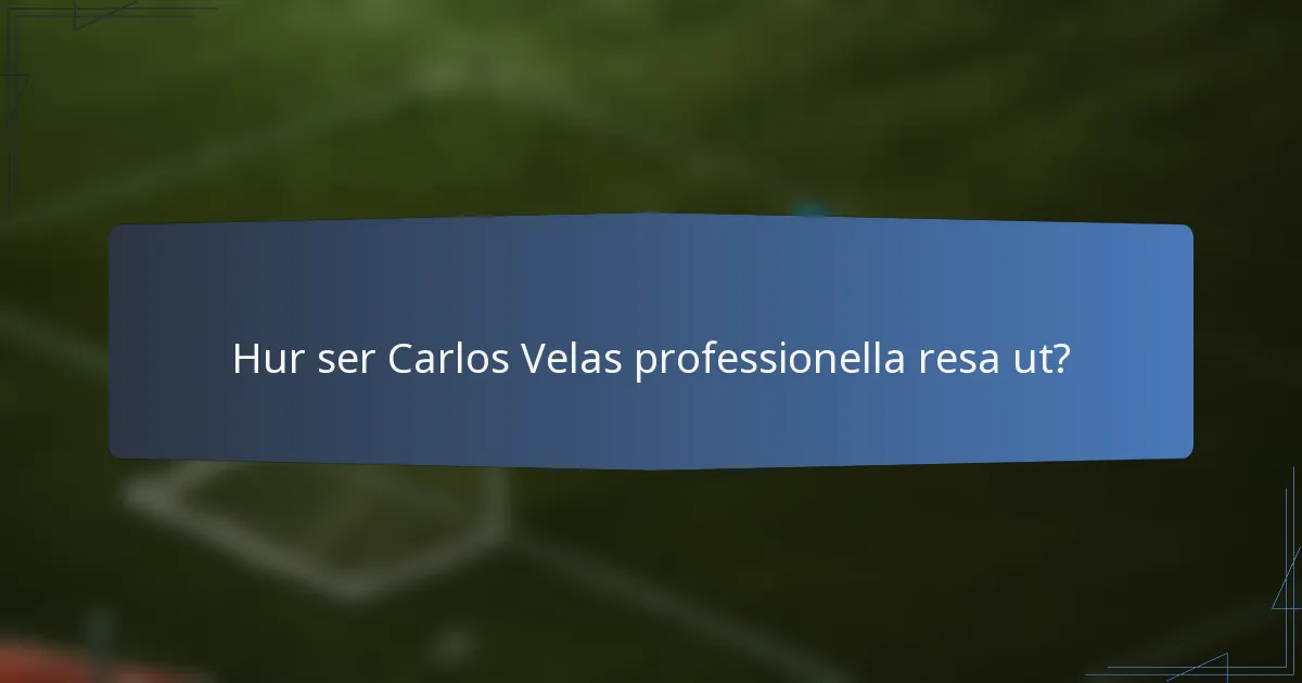 Hur ser Carlos Velas professionella resa ut?
